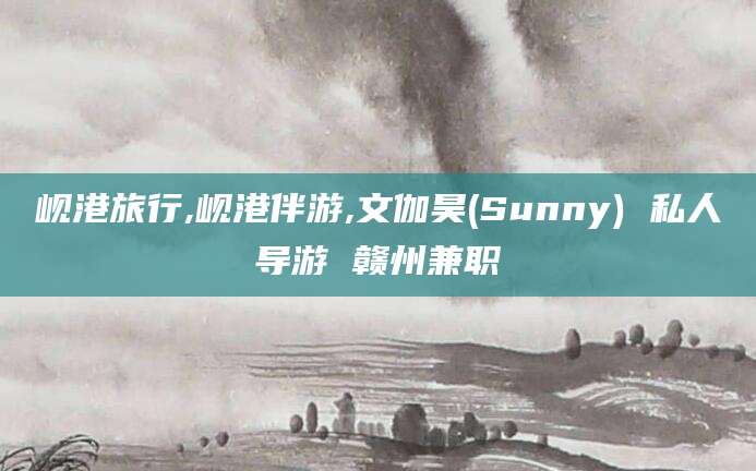 中山岘港旅行,岘港伴游,文伽昊(Sunny) 私人导游 赣州兼职